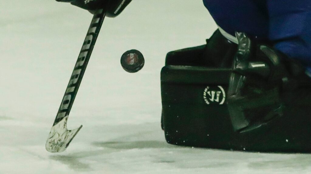 Paul VI co-op downs St. Joseph (Met.) behind early scoring - Boys ice hockey recap