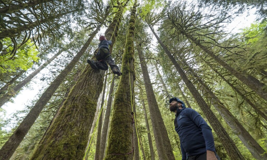 Portland Outdoor Adventure Tours | The Official Guide to Portland