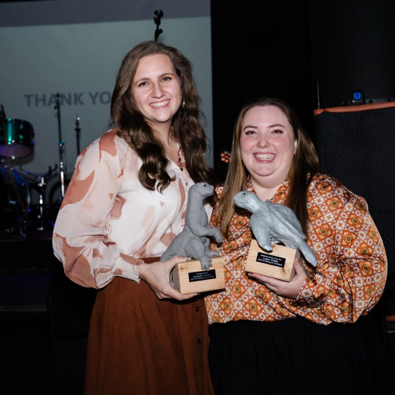 Everything you need to know about the American Advertising Awards