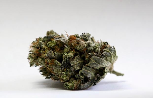 A cannabis bud is seen at a medical marijuana facility