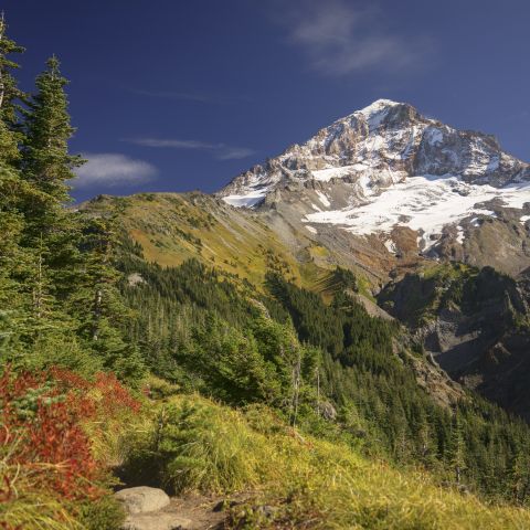 different shades of greens in brush and conifer trees fill the bottom of the frame and get more sparse to reveal a rocky mountain top with a little snow cover