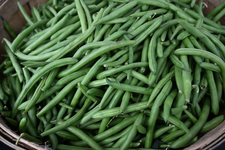 Welcoming vegans at the holiday table, the Maine way