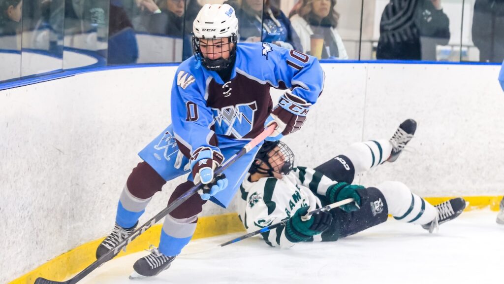 Wayne Hills over Passaic Tech - Boys ice hockey recap