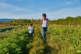 a woman and a child walk through garden at a pick your own vegetable farm
