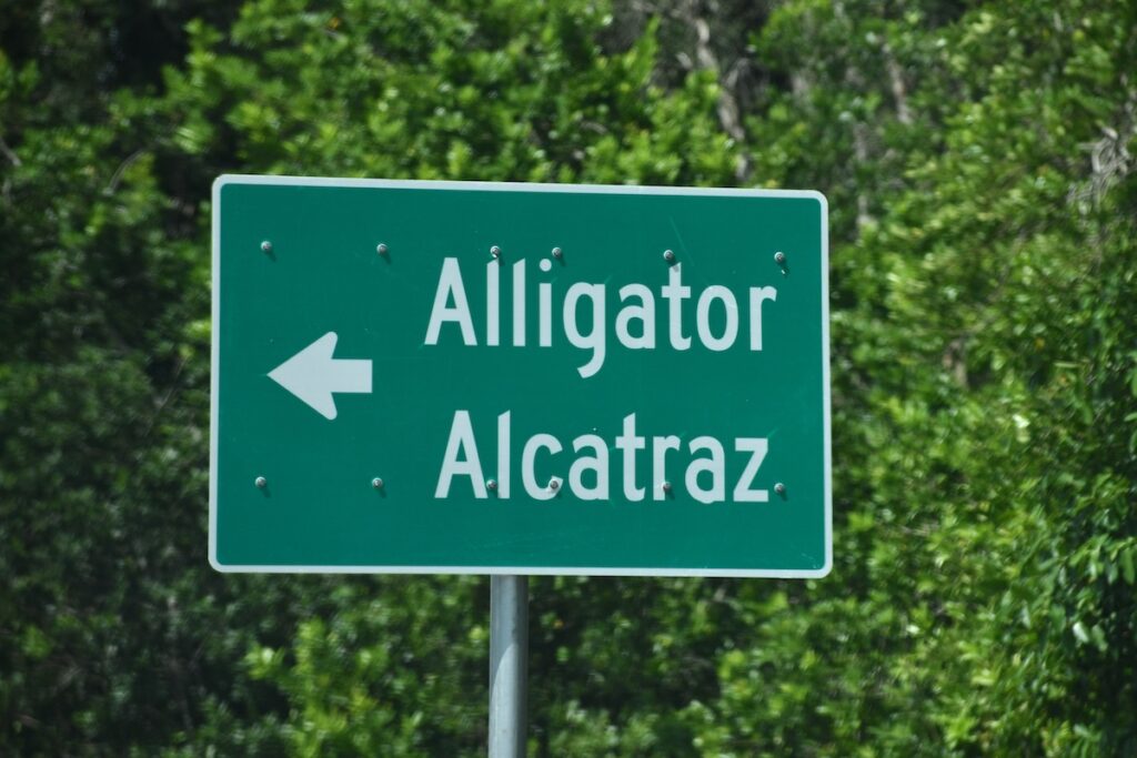 Judge denies Democrats' lawsuit over 'Alligator Alcatraz' access