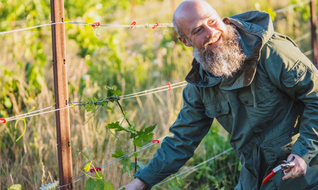 Wine Tours Near Portland | The Official Guide to Portland