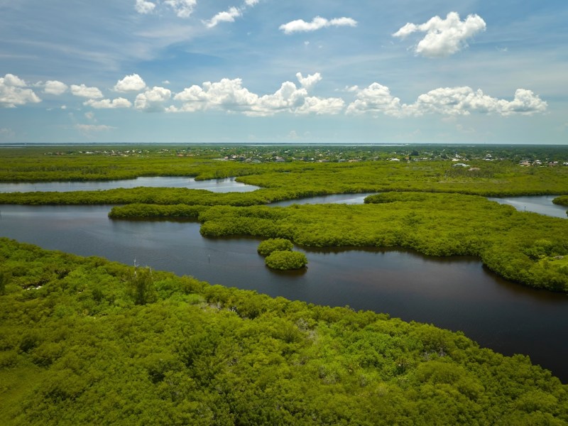 ‘Not about special treatment’: Miccosukee Tribe responds to Trump veto