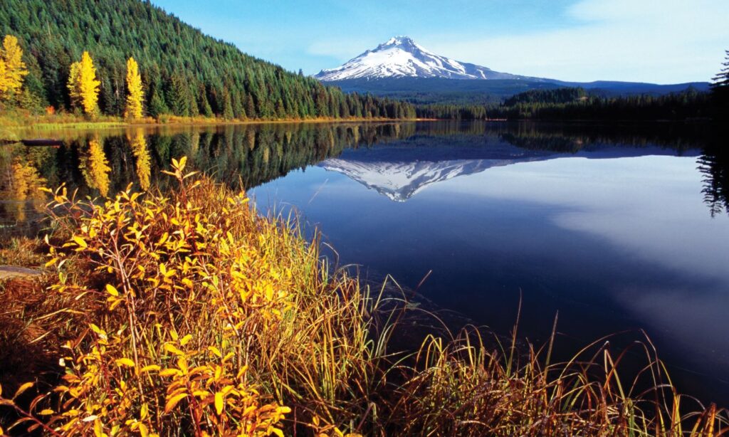 Mount Hood Tours from Portland