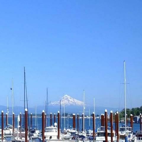 A crow sits on a pole above a marina full of boats, with a snowcapped mountain in the distance