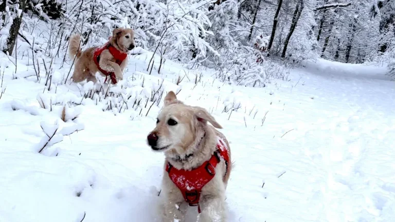 Readers share their favorite photos from this past weekend's snowfall