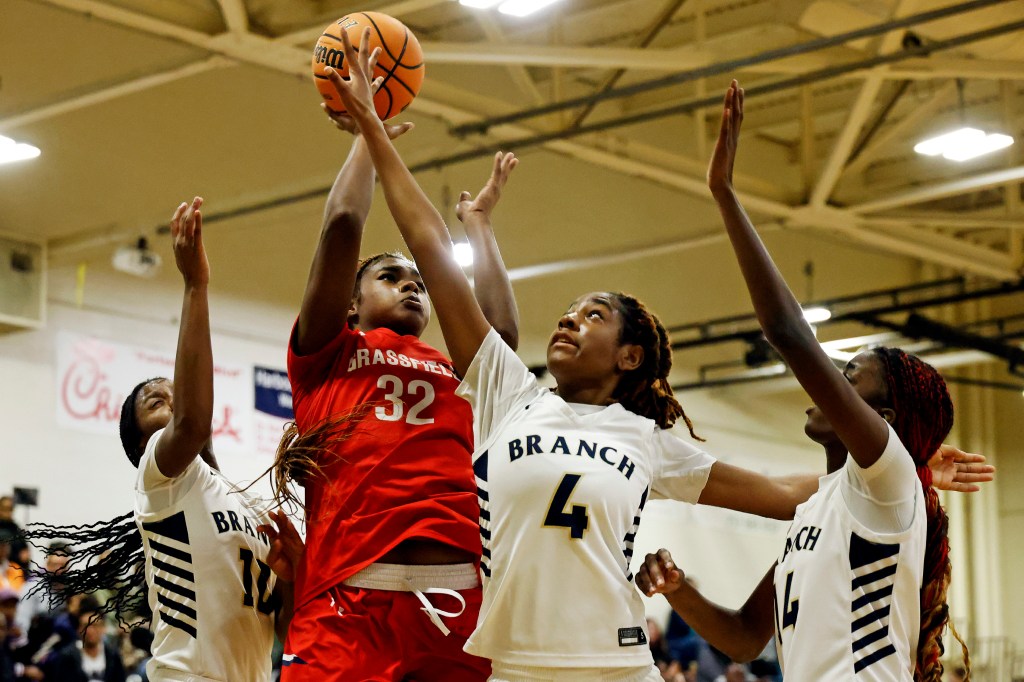 Salem overcomes No. 12 Princess Anne boys basketball in overtime upset – The Virginian-Pilot