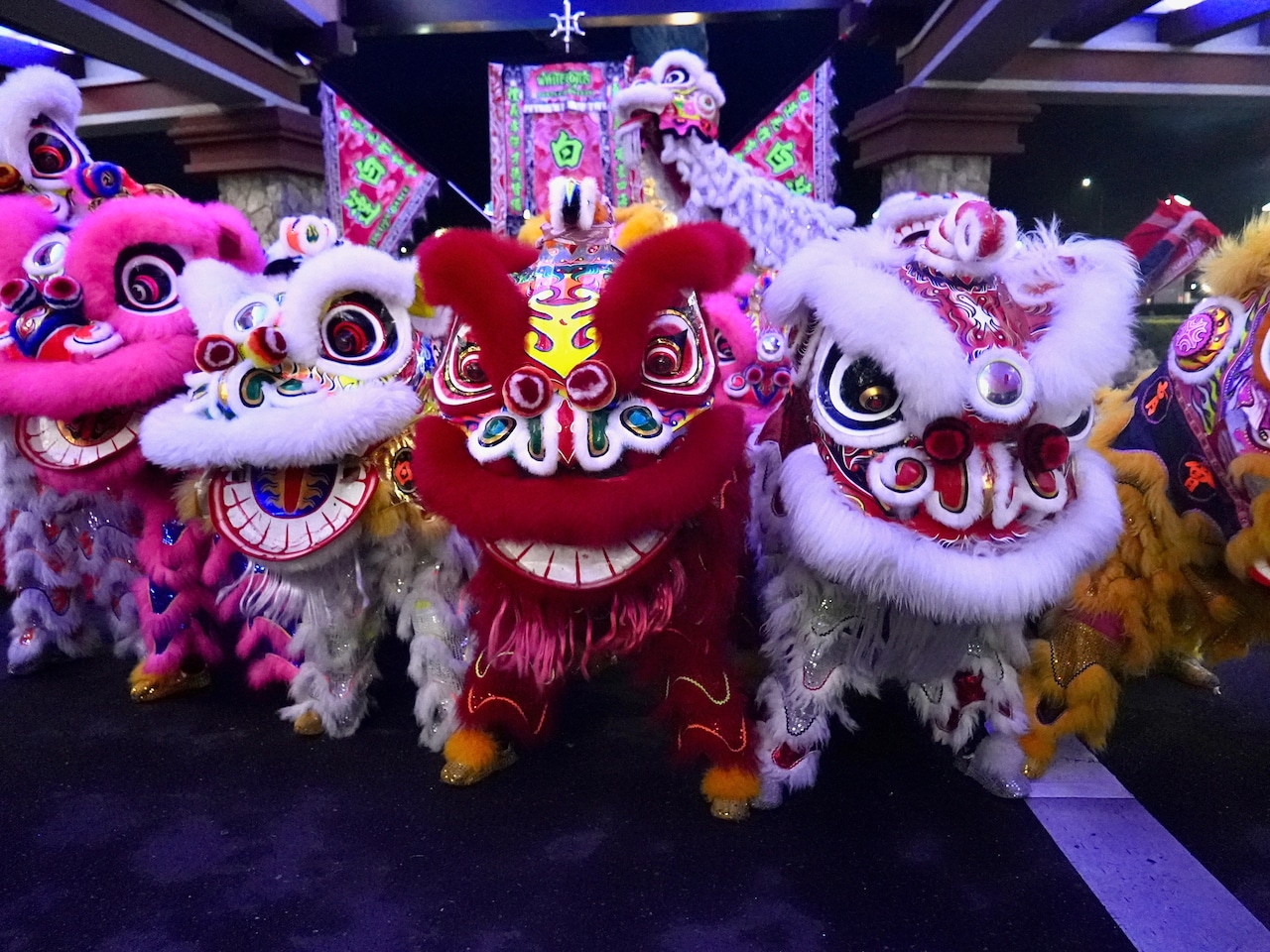 a row of five lion dancers in full costume performing