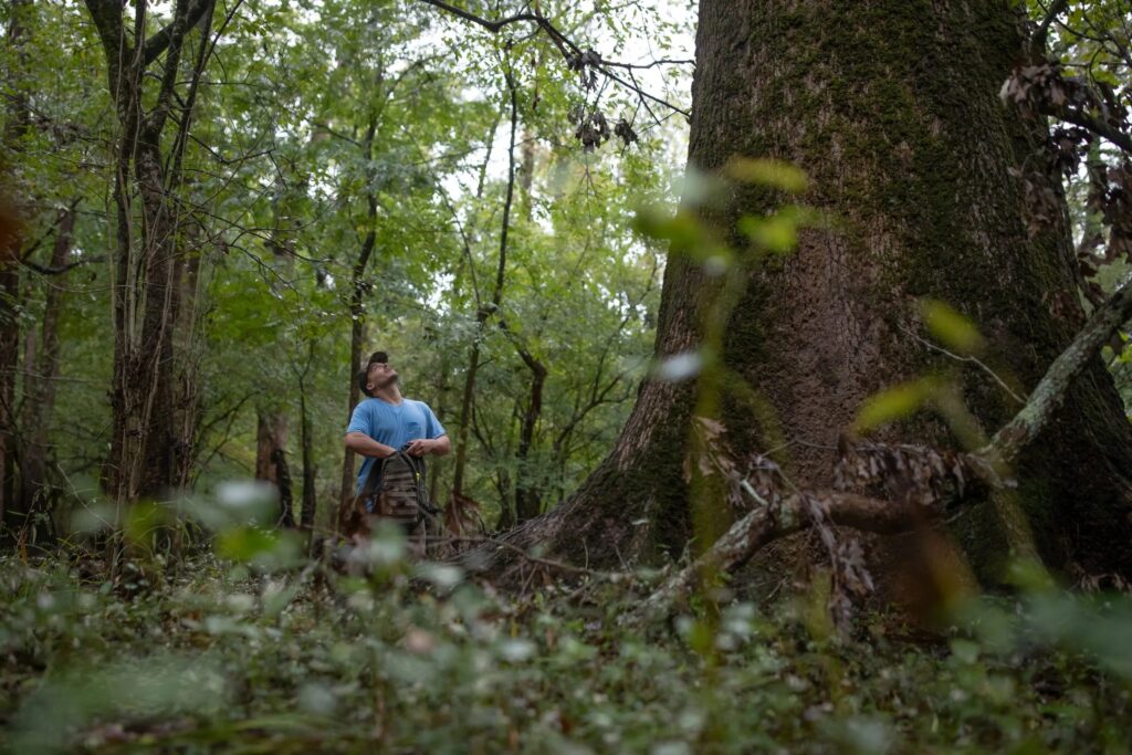On the Hunt for North Carolina’s Biggest Trees