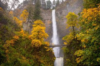 a waterfall surrounded by trees with yellow leaves
