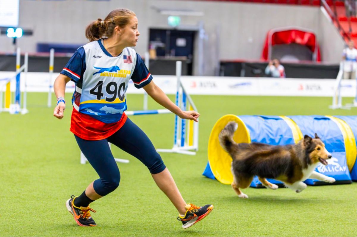 Vestavia Hills at dog agility competition