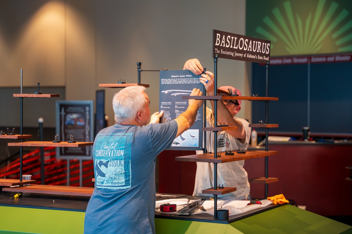 Dino or whale? Basilosaurus takes over Birmingham—why you need to see this exhibit now 2 McWane Science Center, Basilosaurus exhibit