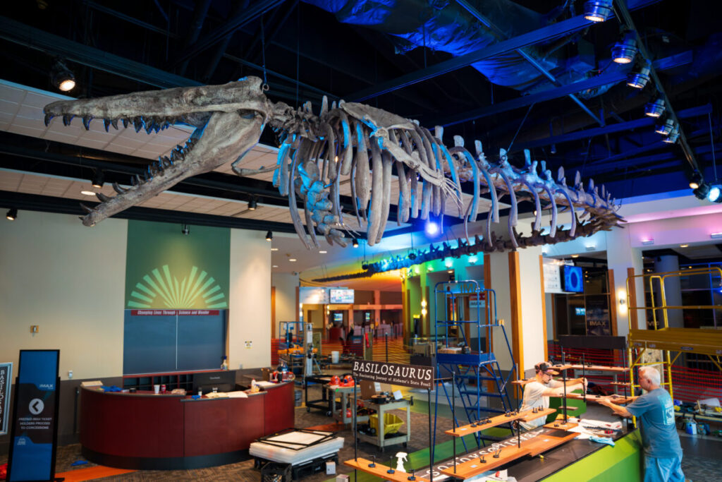 Dino or whale? Basilosaurus takes over Birmingham—why you need to see this exhibit now