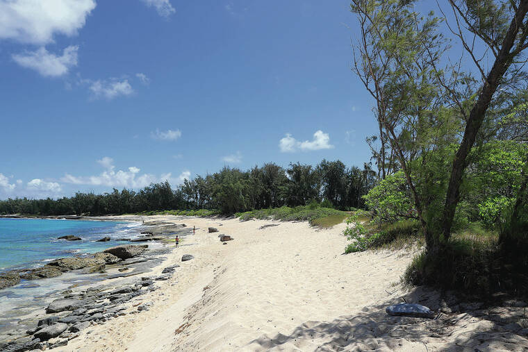 Editorial: Turtle Bay tests land-use conflicts