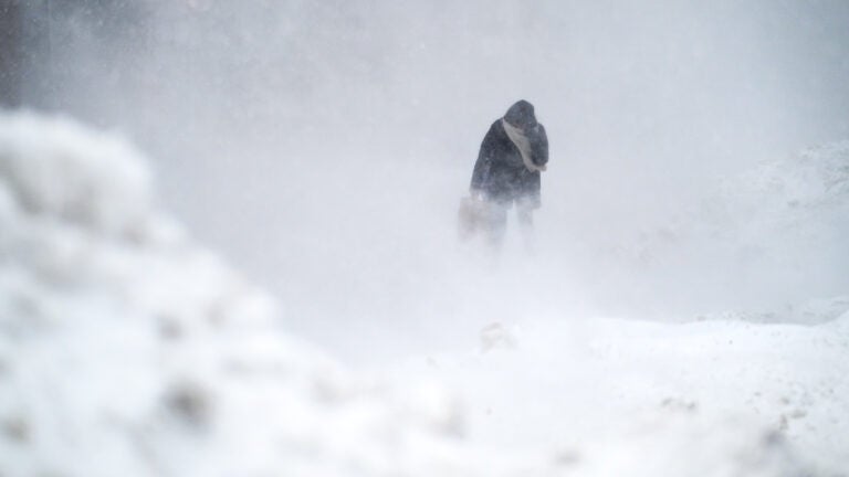 Highest wind gusts in Mass., Feb. 23, 2026