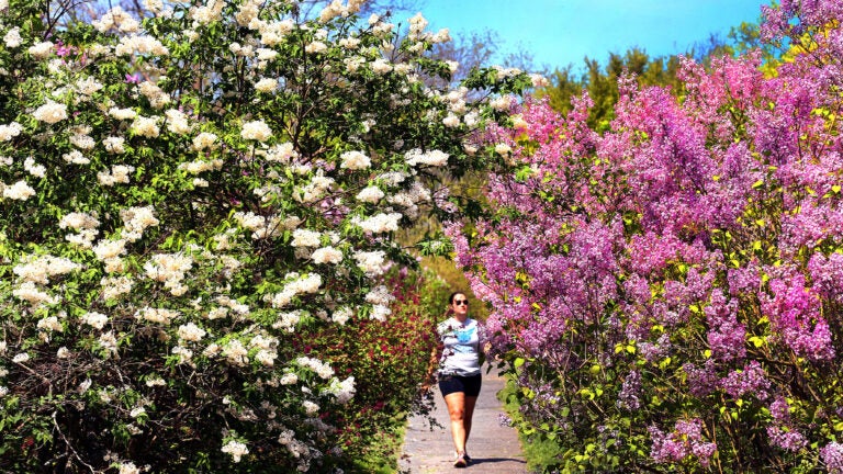 Old Farmer's Almanac predicts New England's 2026 spring weather