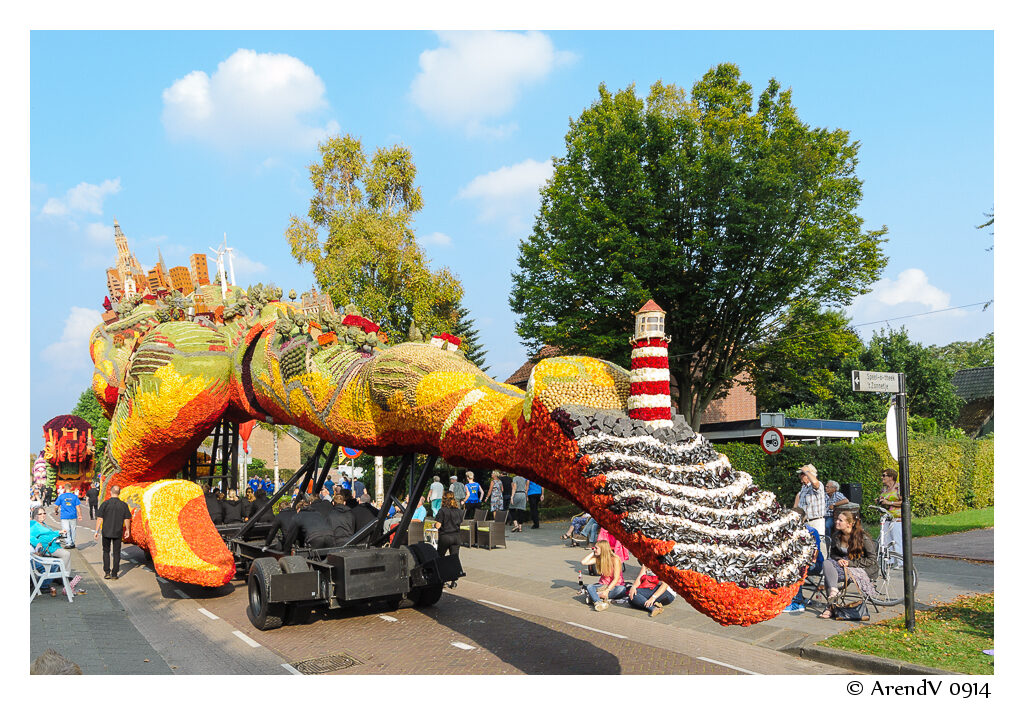 Homewood Patriot Marching Band will be first American band to perform at world's largest flower parade 2 c17eb7c6 d1c4 4c15 9734 943a64454406 Homewood Patriot Marching Band will be first American band to perform at world's largest flower parade