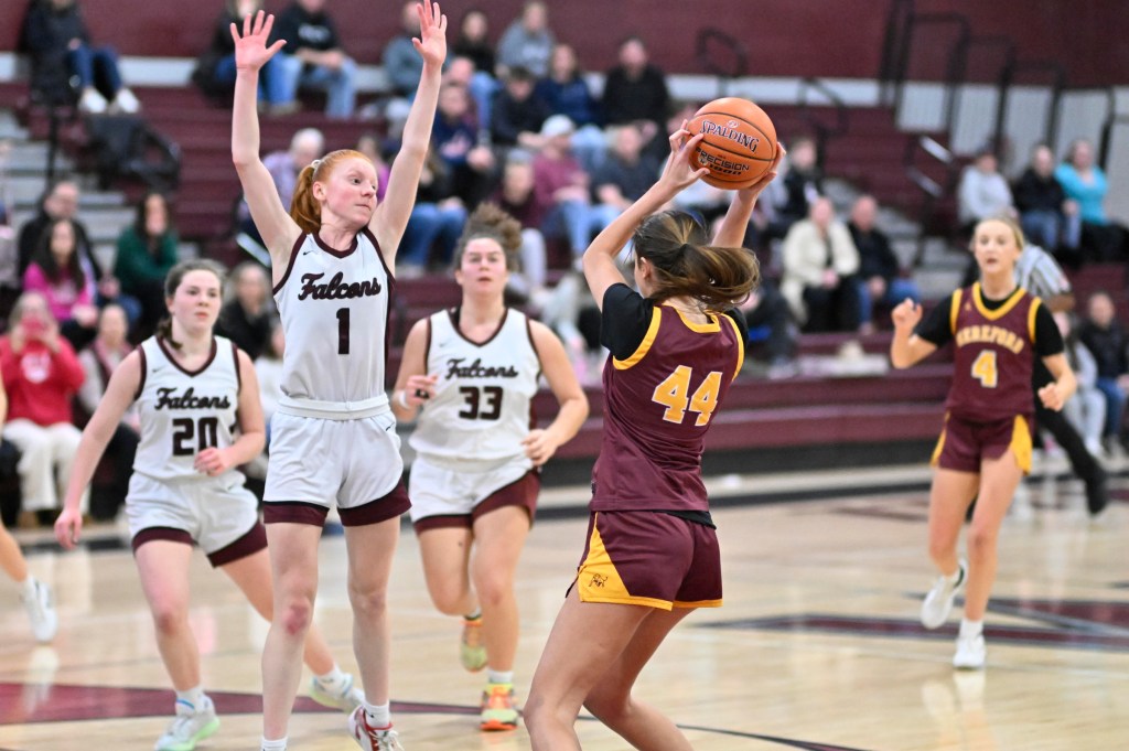 Hannah Neske leads Winters Mill girls basketball to 40-22 win over Hereford