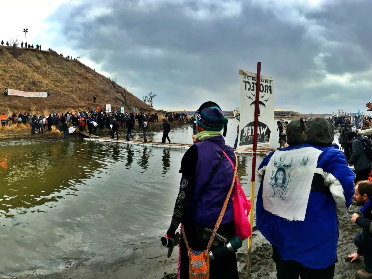 Step Back, Step Up: Avi Salloway Talks Standing Rock