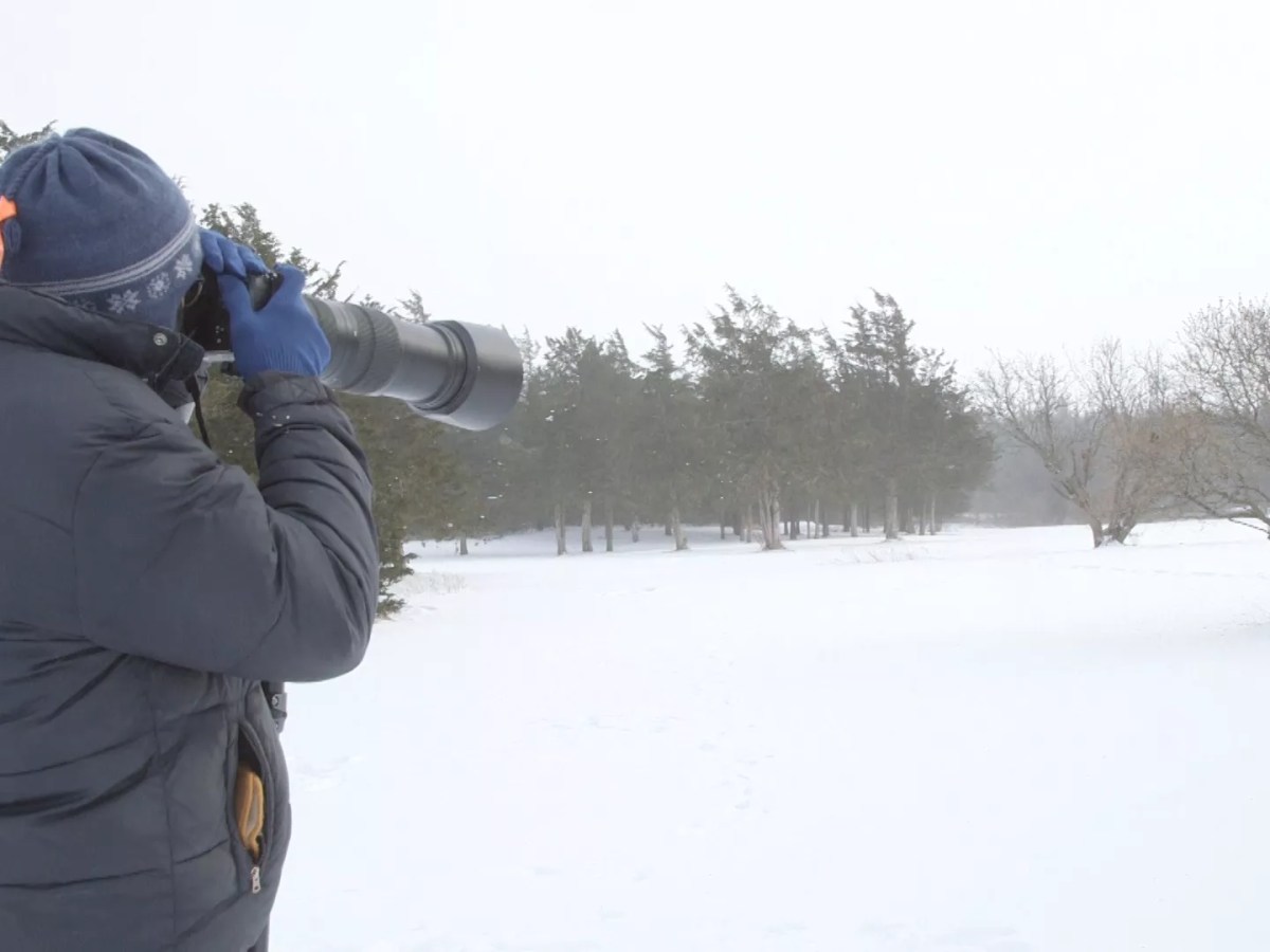 From News to Nature, the Photography of Rob Swanson  [SIV517]