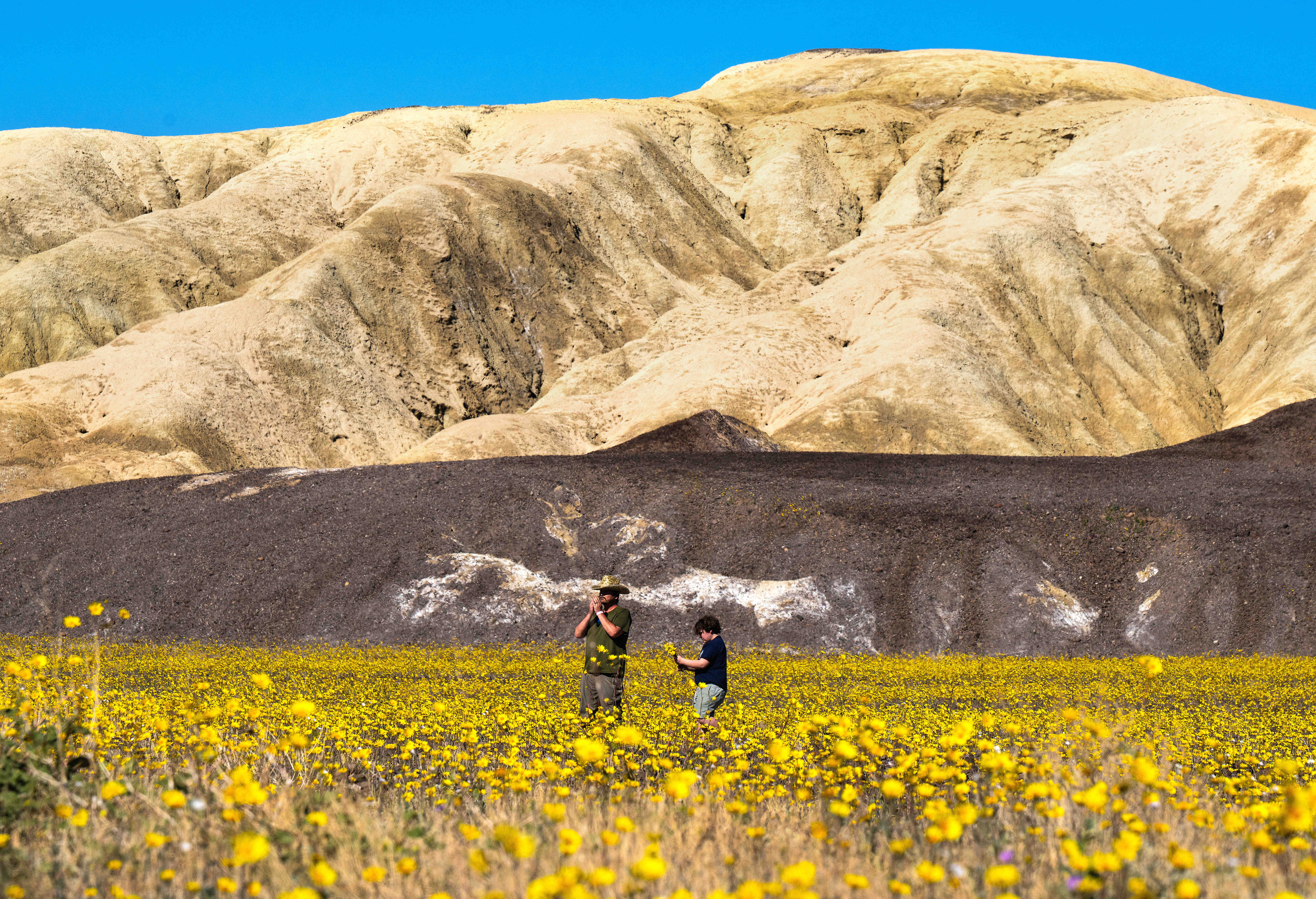 Visitors to Death Valley National Park stand in a field...