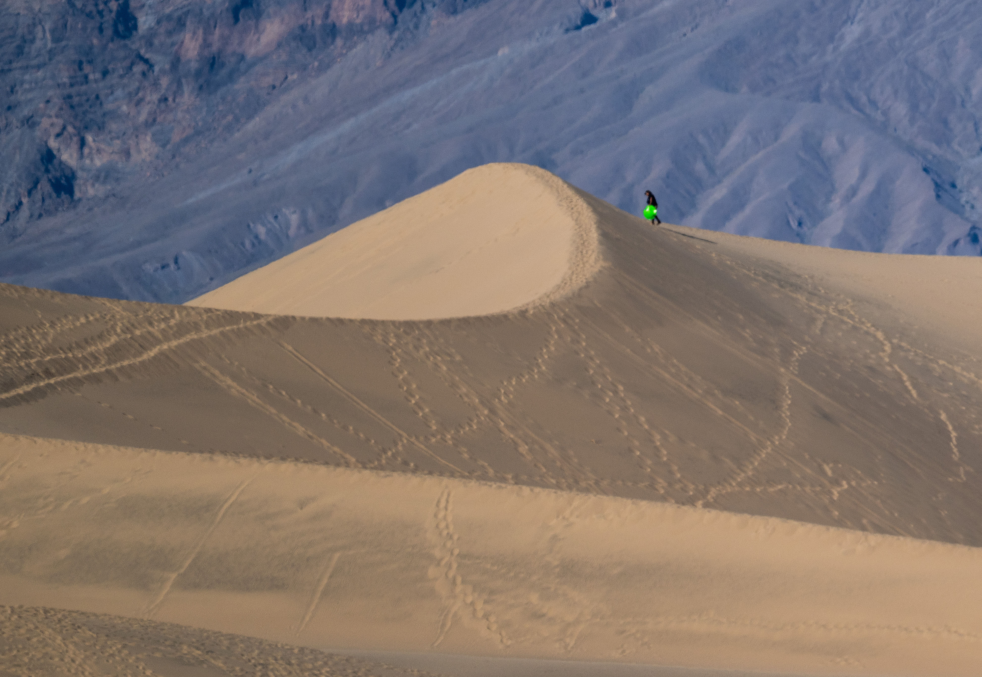 A visitor climbs the massive Mesquite Flat Sand Dunes near...