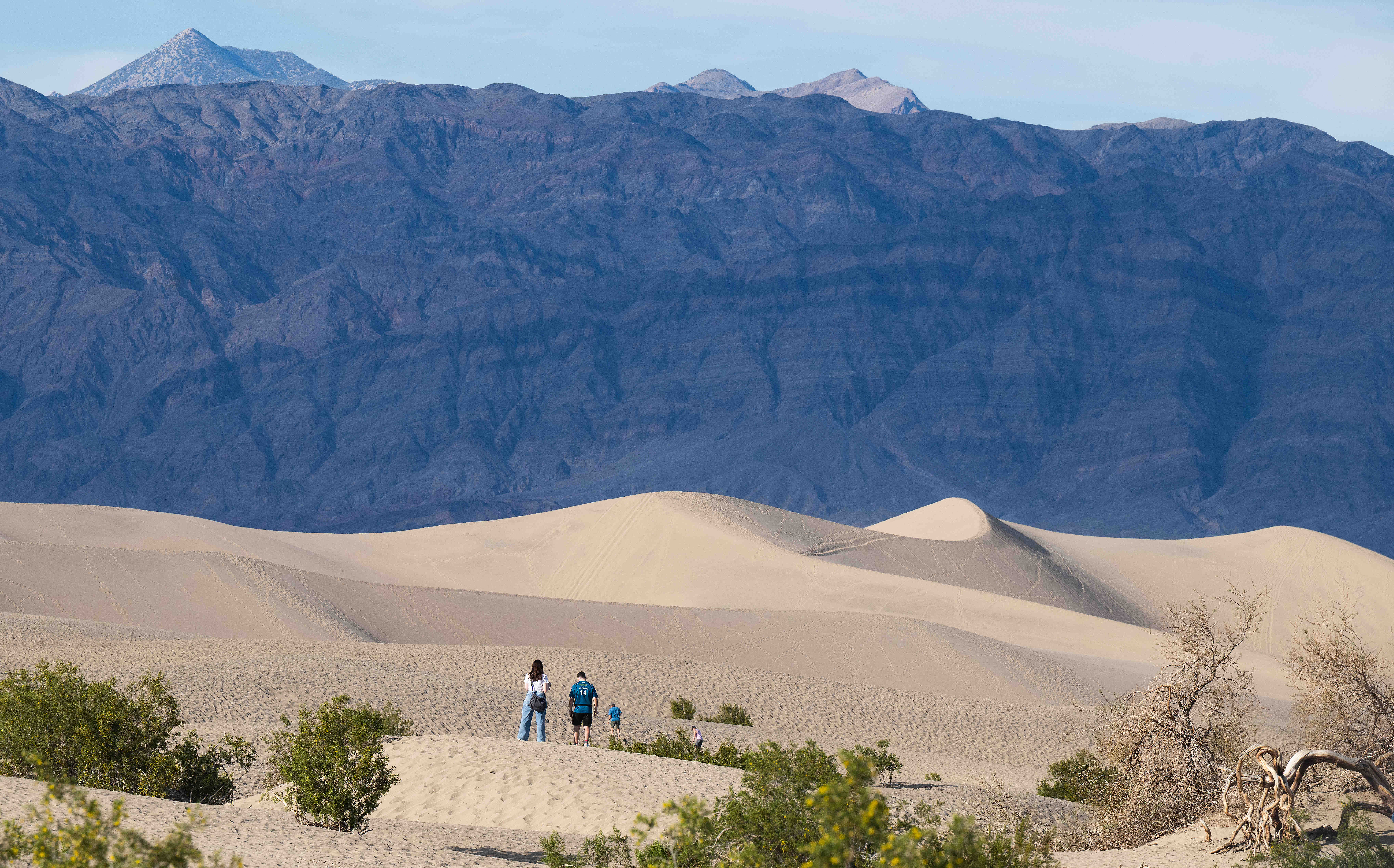 Visitors gaze at the massive Mesquite Flat Sand Dunes near...