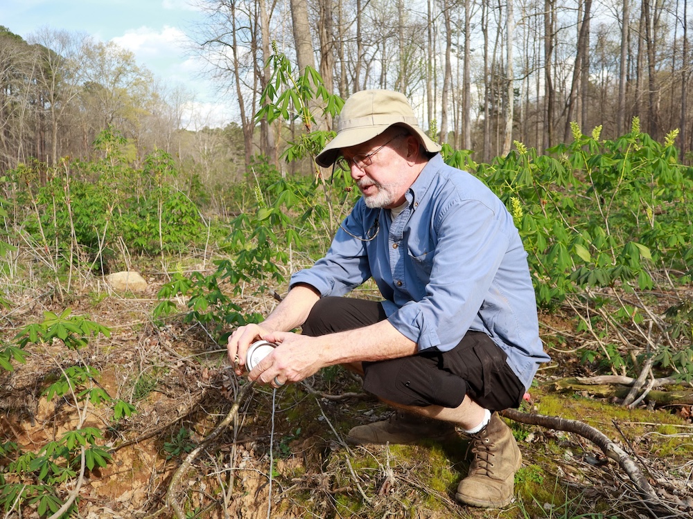Durham Project Seeks to Expand Monarch Breeding Grounds