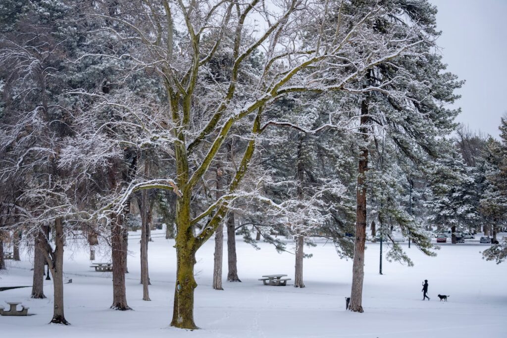 Why Utah is — or isn’t — the best place to raise a family, in this week’s Inside Voices