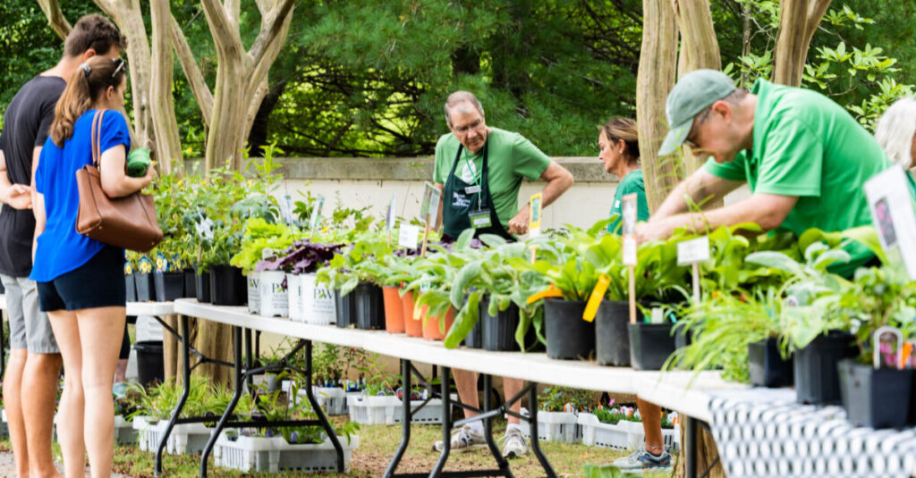 10 native plant sales + shops to know in Birmingham