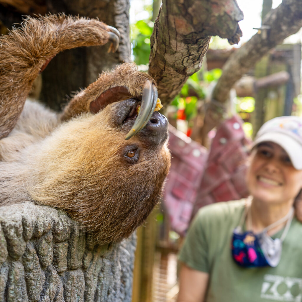 Central Florida Zoo extends weekend hours through May