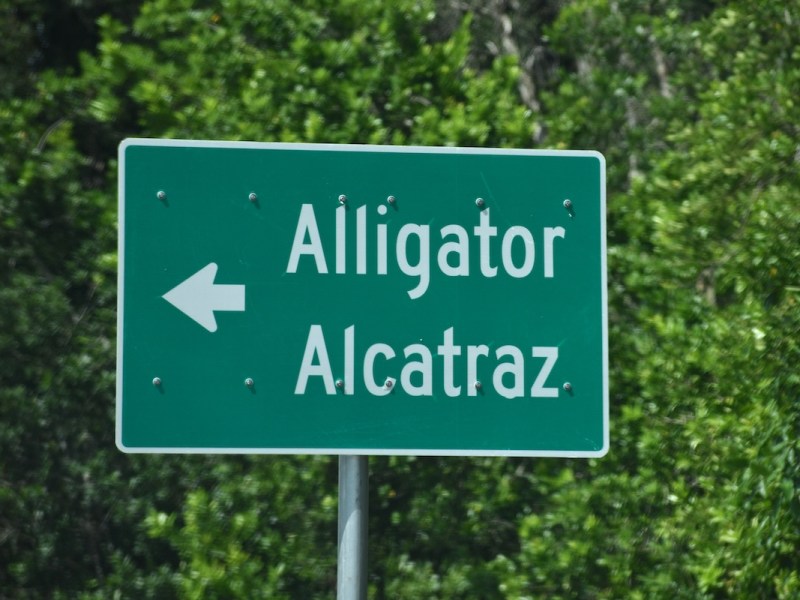 Is ‘Alligator Alcatraz’ under federal control? Answer could decide environmental groups’ case