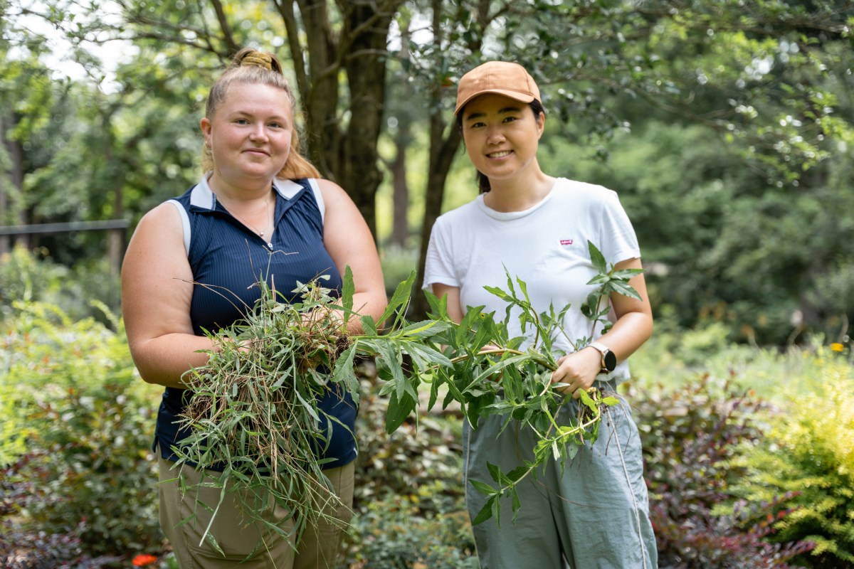 Birmingham Botanical Gardens