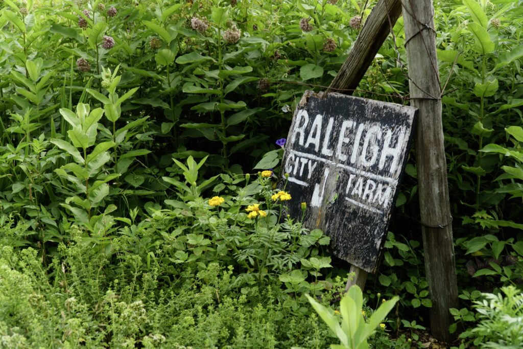 How Raleigh City Farm Helps Feed the City