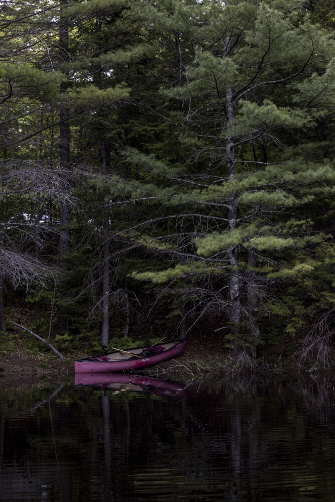 A federal retreat from Maine’s woods