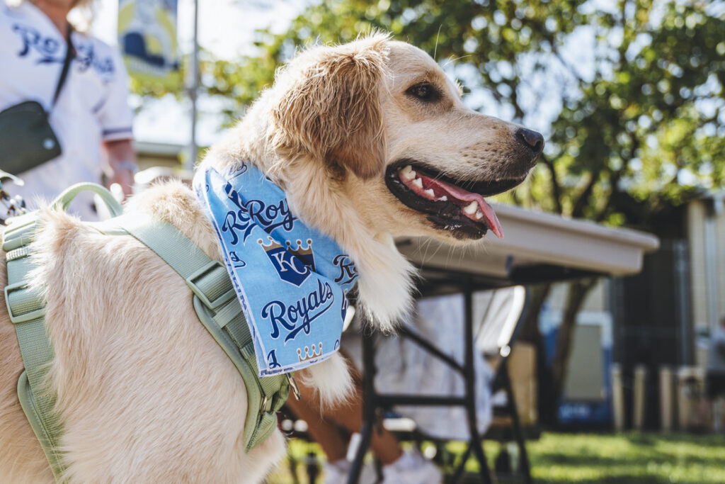 Bark at the Park: Kansas City Royals vs. Minnesota Twins – Event_Image [EVENT]