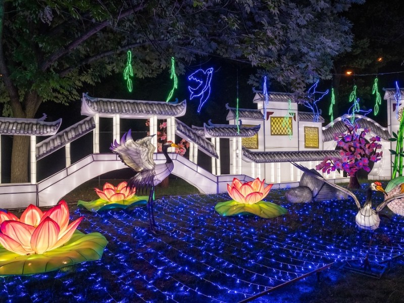 Asian Lantern Festival is back at Central Florida Zoo this November