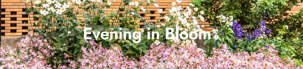 an Evening in Bloom - Buffalo Rising