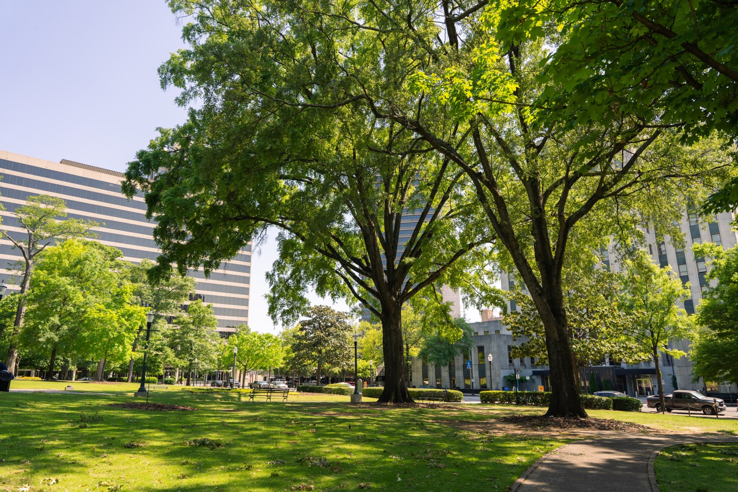 REV Birmingham / Linn Park Re-Vision
