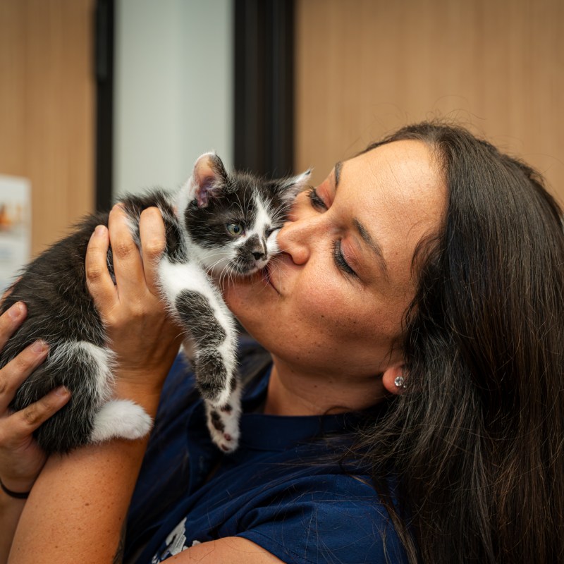 What’s a “Fear Free” vet + how to find one in Birmingham