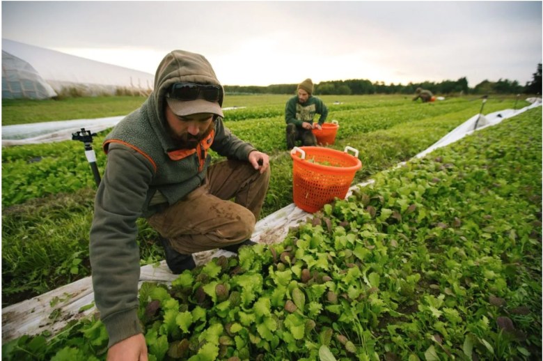 Bond to support farm and forestry funding will not be on November ballot