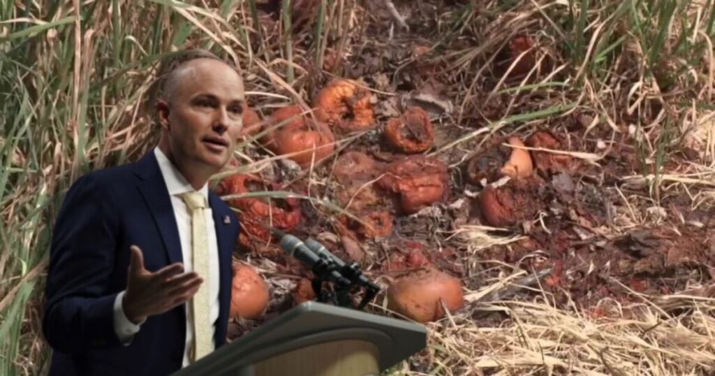 Cox declares state of emergency for crop losses