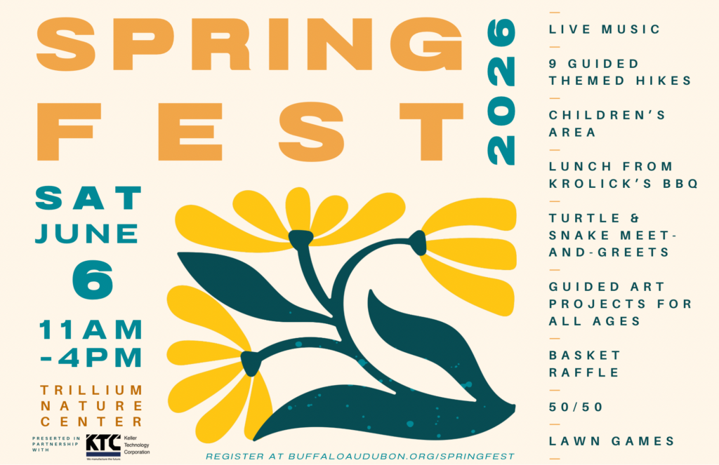 SpringFest returns Saturday, June 6 at Buffalo Audubon!