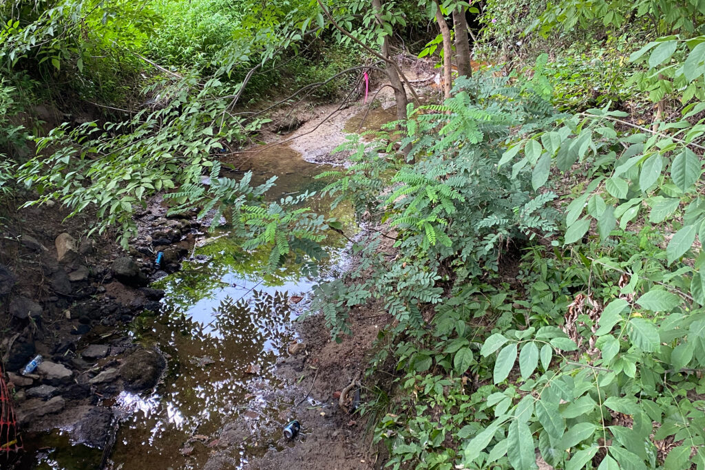 North Carolina Sues Chemical Company for Polluting a Durham Creek
