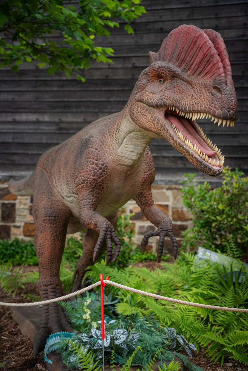24 weekend events including Juneteenth + Father's Day celebrations (June 19-21) 6 Life-sized animatronic dinosaur with open jaws at the Dino Safari exhibit at the Birmingham Zoo