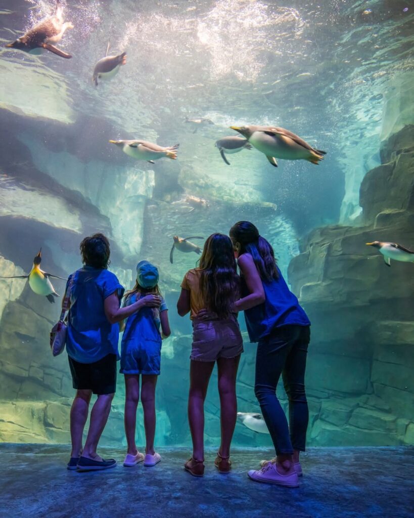 SeaWorld Orlando kicks off Fourth of July festivities and deals